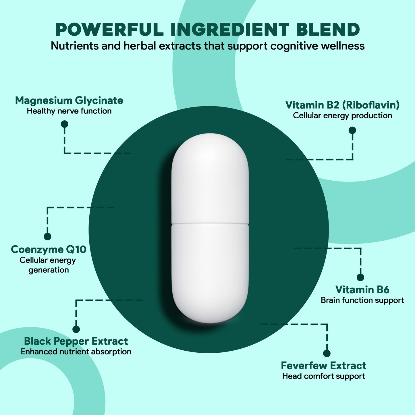 Migra Zen Capsules – Brain Health & Stress Relief (60 Caps)